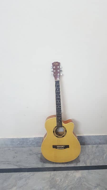 guitar for sale 0