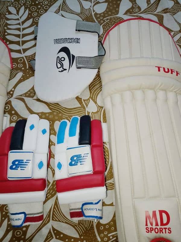 Cricket kit right hand batsman pattes,Thai and Glooves 4