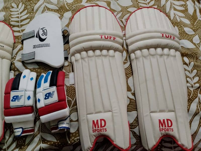 Cricket kit right hand batsman pattes,Thai and Glooves 6