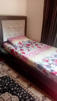 Single bed in cushion with mattress