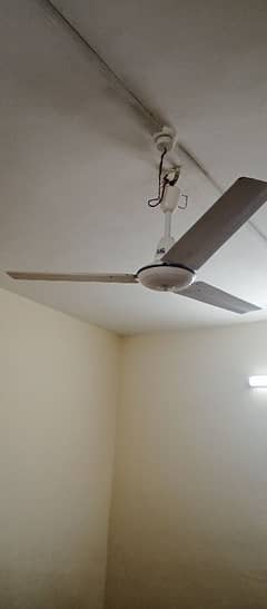 Ceiling fan new only in 4500