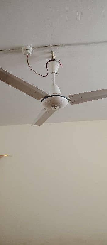 Ceiling fan new only in 4500 1