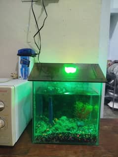 Aquarium