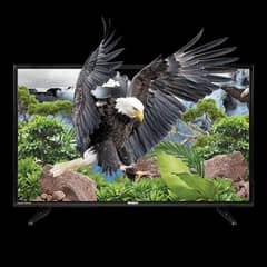 Orient Eagle Series 50inch lcd Tv (LIGHT SHADE)