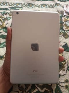 Apple Ipad