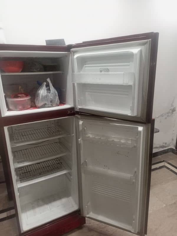 pel fridge full size glass door 4