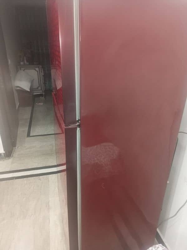 pel fridge full size glass door 5