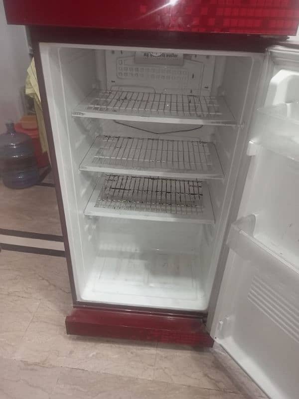 pel fridge full size glass door 8