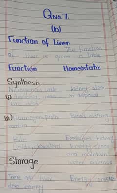 Handwritten assignment work