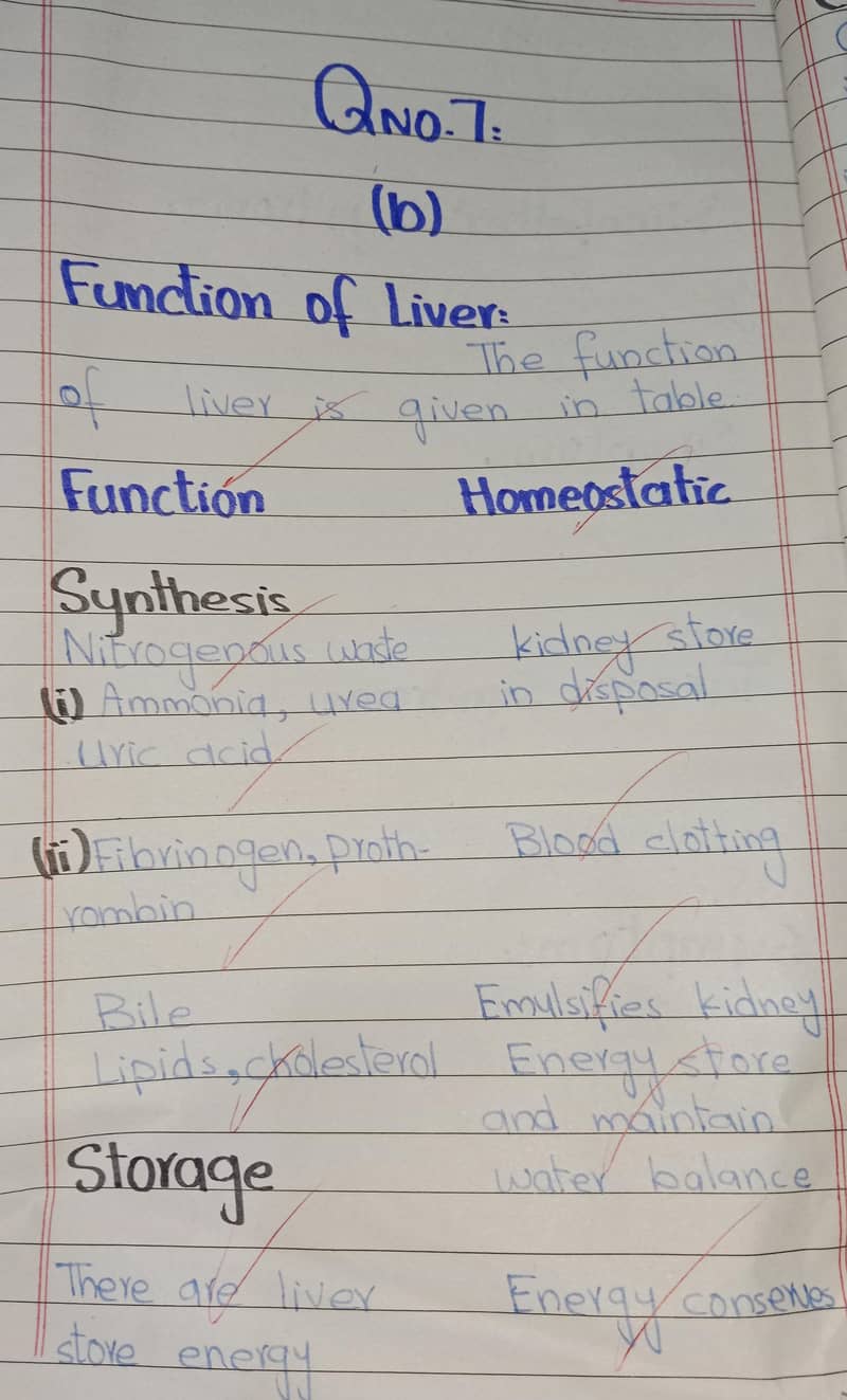 Handwritten assignment work 0