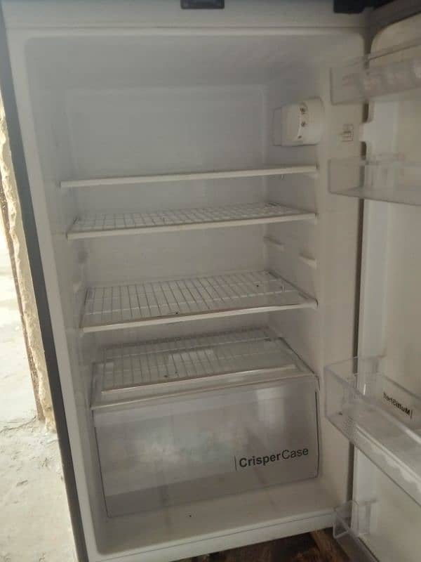 freezer 1