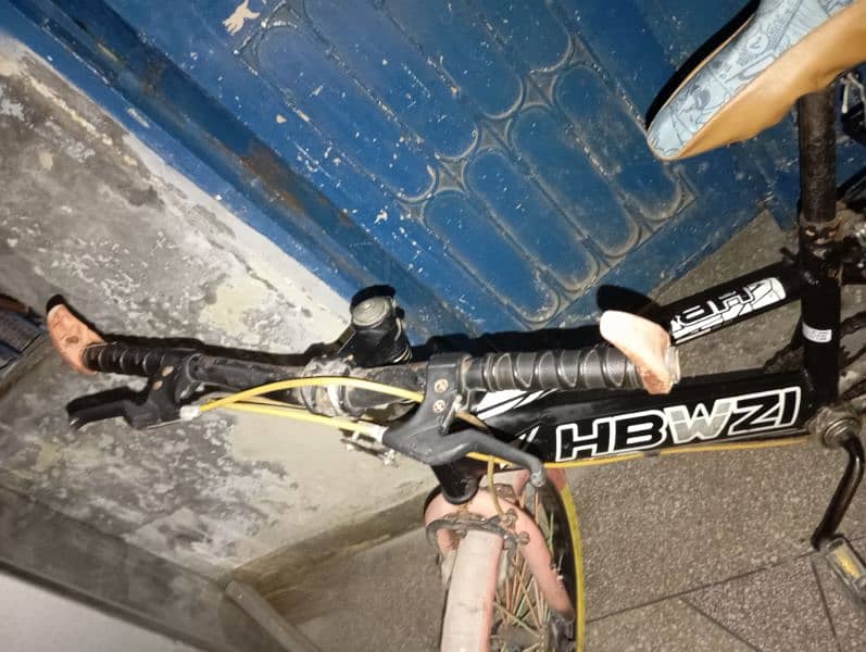 HBWZI bicycle 2