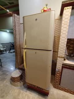 Pel Full Size fridge