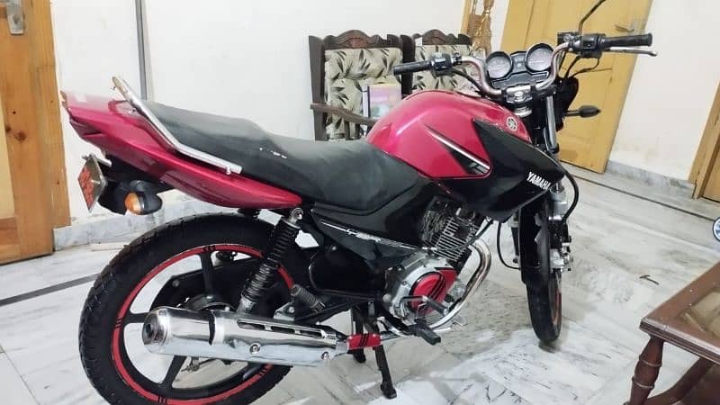 Total original YBR125 golden namber 2