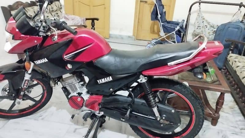 Total original YBR125 golden namber 8