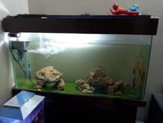 BUY 1 GET 1 FREE AQUARIUM WITH FISHES