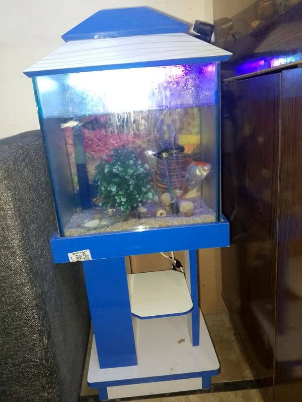 BUY 1 GET 1 FREE AQUARIUM WITH FISHES 13