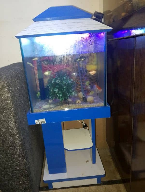 BUY 1 GET 1 FREE AQUARIUM WITH FISHES 14