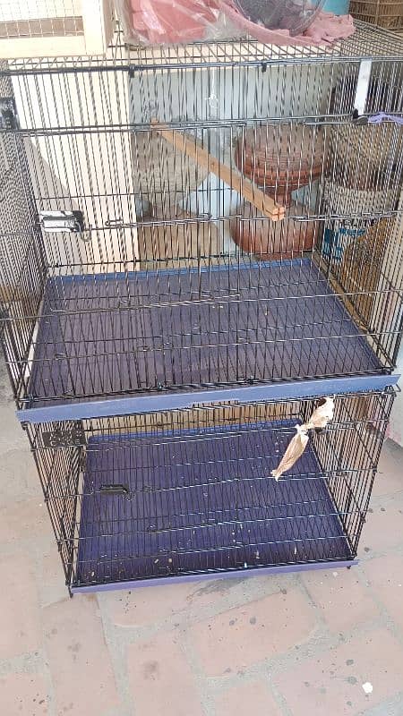 cage for sale 2 by 1.5 size 1