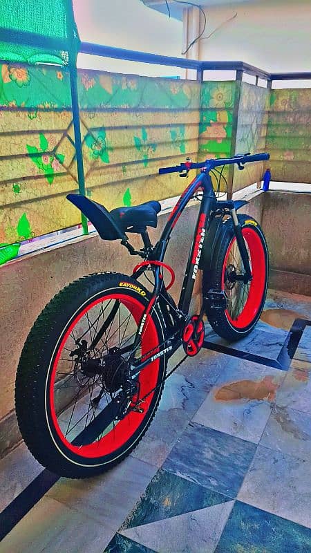 fat bike 1