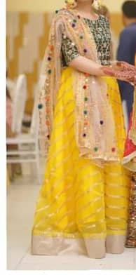 Mayon And Mehndi Ready to wear fancy lehenga Choli