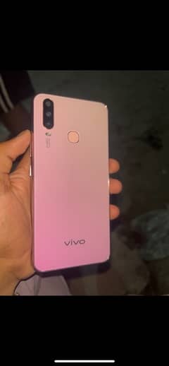 vivo