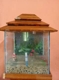 Aquarium for Fish