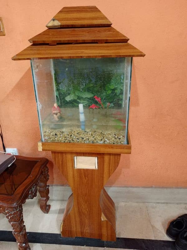 Aquarium for Fish 1