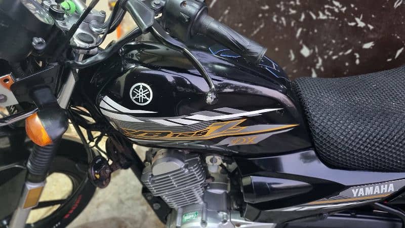 Yamaha yb125z dx mint condition 13