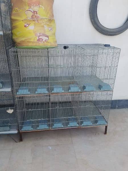 2 Birds Cages 2