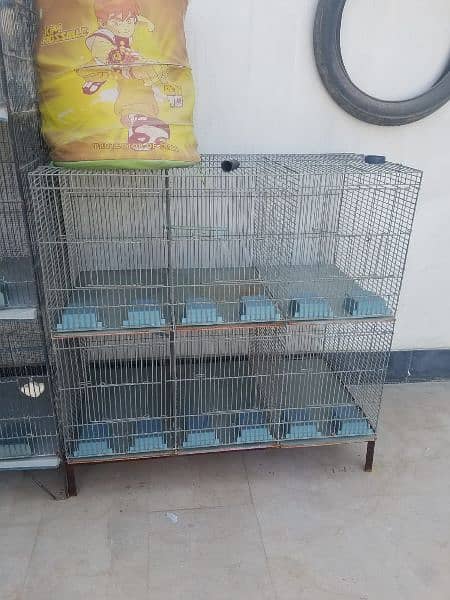 2 Birds Cages 6