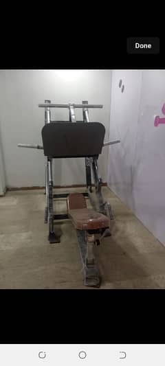 brand new leg press olampic