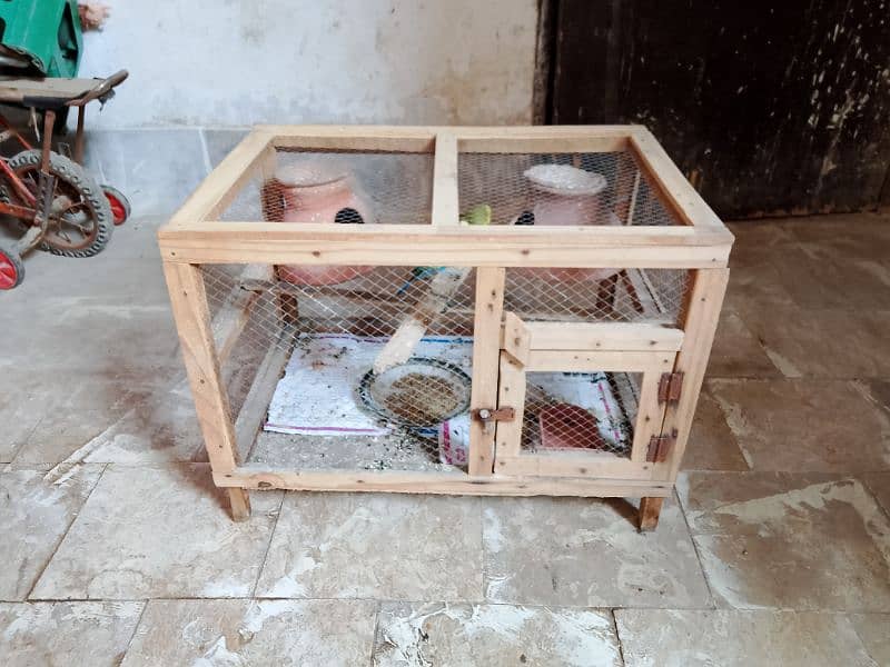 1 Australian breeder parrots pair with cage for sale 12