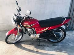 YAMAHA YB 125Z 2019 | YAMAHA in GUJRANWALA | YAMAHA 2019 MODEL