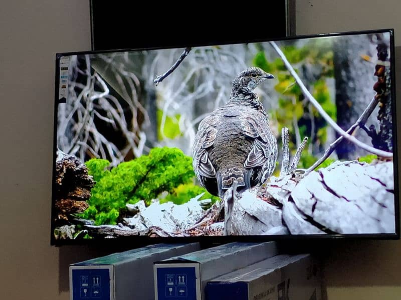 55 inch led tv Samsung Android smart 4k 03224342554 0