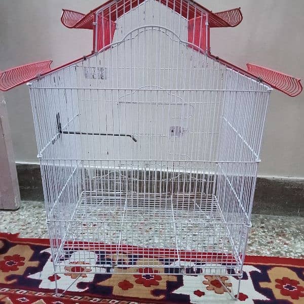 Used cage for parrot 1