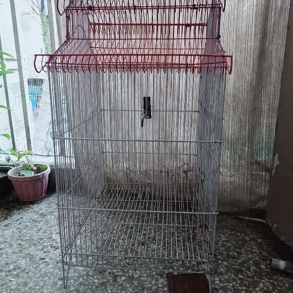 Used cage for parrot 3