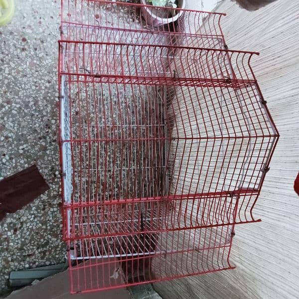 Used cage for parrot 4