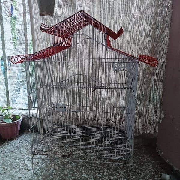 Used cage for parrot 6