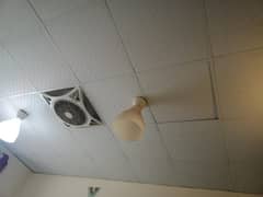 Pvc Ceiling Panel removable for sale  (used)