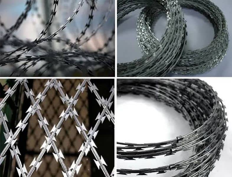 Razor wire - Concertina barbed wire - Electric fence - Chain link 8