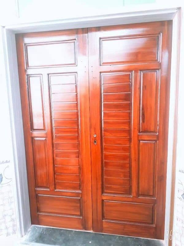 Wood Plastic and fiber doors 2