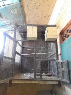 Cage For Animals And Birds