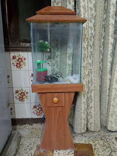 fish aquarium