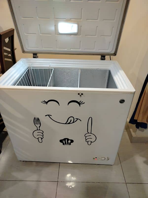 PEL DEEP FREEZER For sale 9