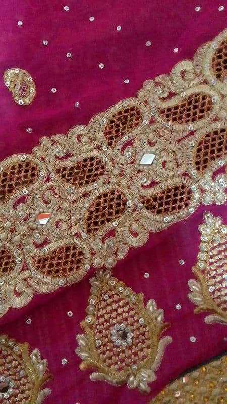 bridal saree 5