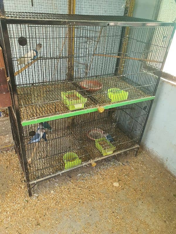 cage +breeder pair 0