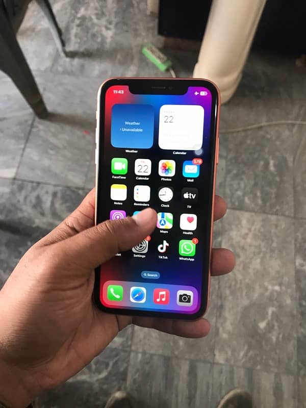 iphone xr 6