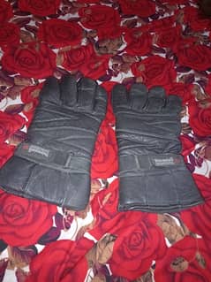 Gloves