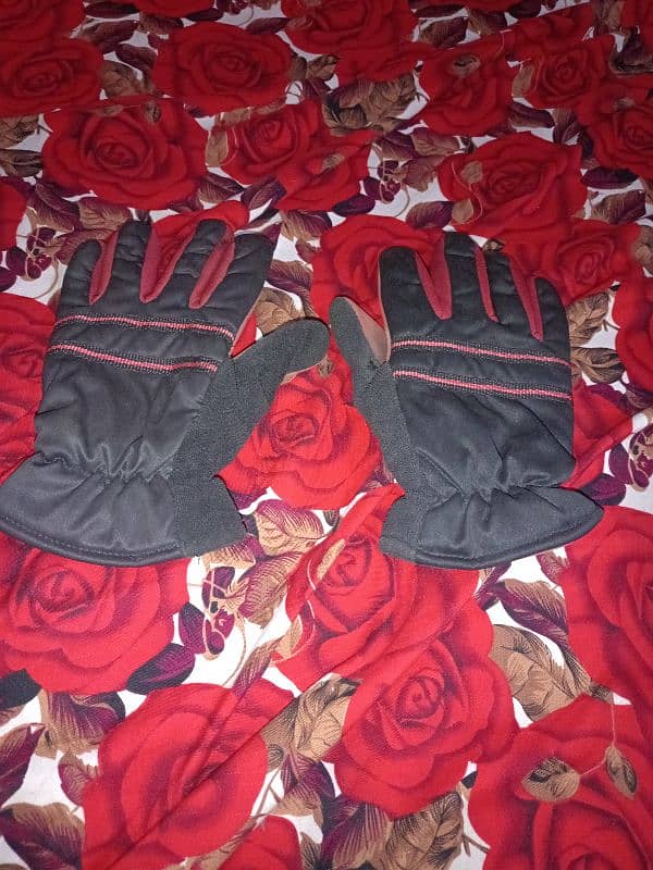 Gloves 1